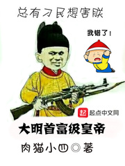 大明不可能这么富